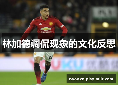 林加德调侃现象的文化反思