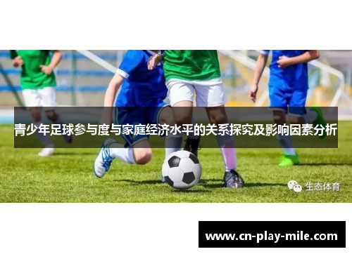 青少年足球参与度与家庭经济水平的关系探究及影响因素分析