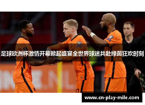 足球欧洲杯激情开幕掀起盛宴全世界球迷共赴绿茵狂欢时刻